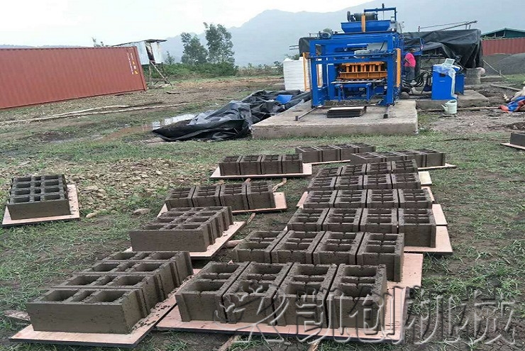 坦桑尼亚水泥砖机-空心砖机生产现场