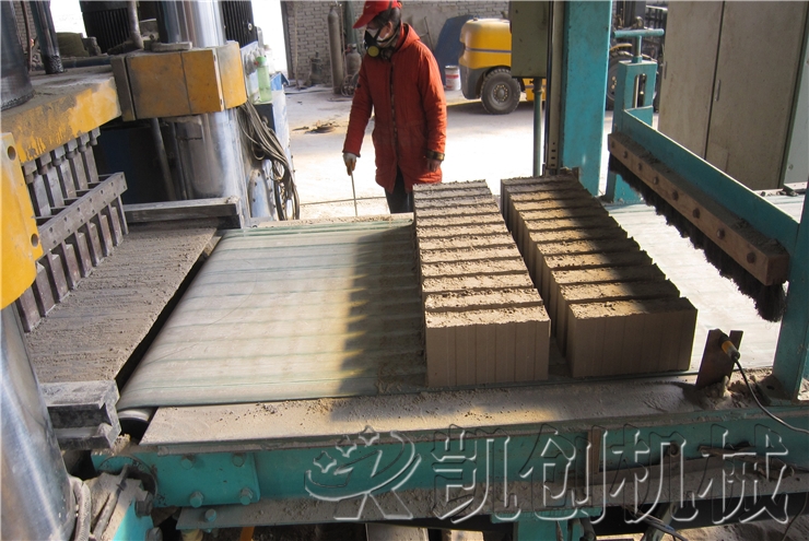 安徽阜阳蒸压粉煤灰标砖生产线