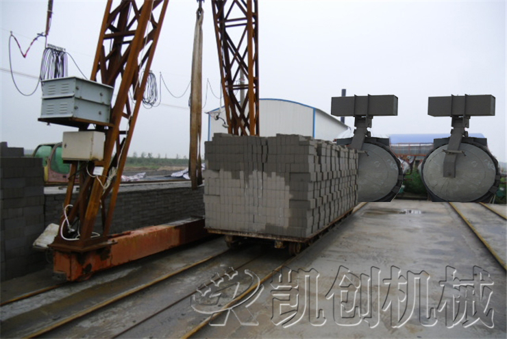 安徽阜阳蒸压粉煤灰标砖生产线